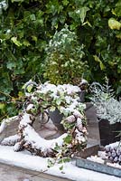 Close up of winter garden decoration on table with wreath, cones and evergreens.
