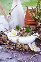 Frosty tablescape with Helleborus flowers, bulbs, cones, Erica and dried ornamental grass.
