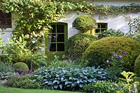 Mixed border of perennials and yew topiary at cottage entrance. 