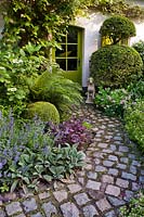 Pathway leading to cottage entrance with mixed borders of perennials and topiary.