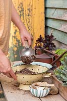Filling colander planter with a mixture of fine grit and compost