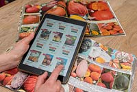 Person ordering vegetable seeds on a digital tablet. 