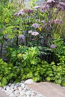 Angelica sylvestris 'Vicar's Mead' in flowering border next to the path. The Idea of Wilderness by Cherry Carmen, Gardener's World Life 2017.