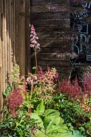 Flower bed with red, white and pink Astilbe including Astilbe 'Fanal' x arendsii, Rodgersia and Acer palmatum by a wooden fence.