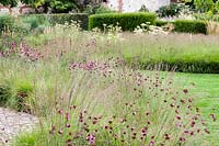 Meadow planting in The Walled Garden, Bury Court Gardens, Hampshire, UK.