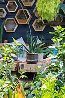 View over lush foliage to outdoor wooden table displaying selection of potted succulents. 
