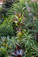 Detail of a lush tropical garden featuring a Cordyline fruticosa. 