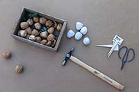Materials and tools for walnut craft decorations. 