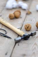 Materials and tools required to make a string of threaded walnuts. 