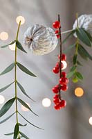 Close up of painted walnuts strung on thread with Ilex berries and Eucalyptus. 