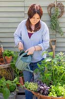 Woman watering wheelbarrow herb planter with metal watering can. 