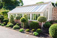 Restored Victorian lean to glass house with clipped evergreens. 