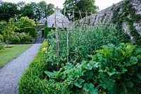 Walled vegetable garden with box hedging. Plas Cadnant Hidden Gardens, Menai Bridge, Anglesey, UK