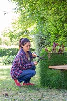 Woman using garden shears to trim grass on living gabion bench