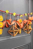 Festive advent branch of dried orange, hellebore leaves and flowers, stars and cinnamon sticks