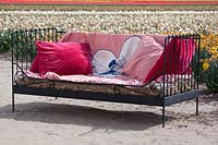 Iron bench in the field for relaxing and enjoying the colours. De Tulperij: Dutch nursery of Daan and Anja Jansze at Voorhout, Holland.
