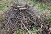 Weed roots and combustible garden rubbish piled up for burning. 
