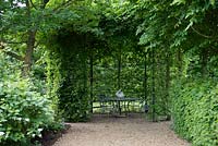 Carpinus betulus - Hornbeam room with table and chairs. Wakelins Willow, Suffolk