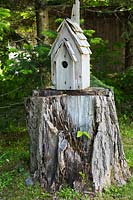 Rustic wooden birdhouse on tree stump, Canada