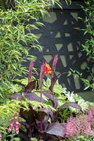 Canna in a border with decorative panel behind - 'Jungle Fever', RHS Tatton Park Flower Show, 2018.