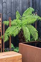 Dicksonia antarctica with burnt effect fence and Corten water container - Bee's Gardens: The Penumbra, RHS Tatton Park Flower Show 2018