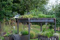 Raised metal herb beds - Food for Thought, RHS Tatton Park Flower Show 2018