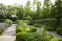 Contemporary herb garden with stone paving, clipped box, catmint, chives, fennel, artichokes, clipped cotoneaster hedges - Barefoot Garden, Cornwall, UK