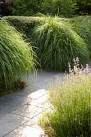 Miscanthus sinensis 'Malepartus' casts shadows on stone paving - Barefoot Garden, Cornwall, UK 