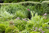 Contemporary herb garden with chives, clipped box, catmint, chives, fennel and artichokes - Barefoot Garden, Cornwall, UK