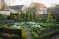 Narcissus 'Thalia' edged with box and Hebe pinguifolia 'Sutherlandii', Cirencester, UK.