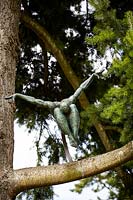 Sculpture fixed in tree onto large branch in mature conifer