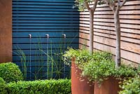 Contemporary water feature with rusted taps surrounded by Equisetum hyemale,
 Buxus sempervirens balls and hedges topiary, big rusted steel containers with 
Olea europaea and Muehlenbeckia complexa by blue wooden wall and rusted panels. 