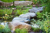 Stepping stones across pond with Equisetum hyemale. Countryfiles 30th Anniversary Garden. RHS Hampton Court Palace, 2018