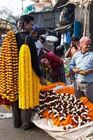 Man standing holding garlands of Tagetes - marigolds at flower market

