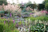 Colourful border with Stipa gigantea Iris Nymphaea Helictotrichon sempervirens and Lythrum salicaria  at Bluebell Cottage Gardens, Cheshire, UK 