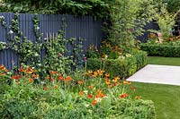 Artificial lawn with Buxus sempervirens, Helenium and Achillea