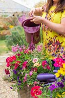 Watering newly planted flowers