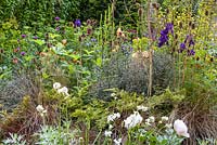 Acanthus mollis, Aquilegia vulgaris var. stellata 'Black Barlow', Artemisia, Athyrium niponicum and Carex grasses - The Embroidered Minds Epilepsy Garden - Sponsor: Embroidered Minds, Epilepsy Society and Young Epilepsy - Chelsea Flower Show 2018 