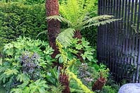 VTB Capital Garden - Spirit of Cornwall - Tree Ferns - Dicksonia antarctica' underplanted by Fatsia japonica, Dicksonia squarrosa and Aspidistra elatior - RHS Chelsea Flower Show 2018