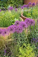 Space to Grow - RHS Chelsea Flower Show 2018