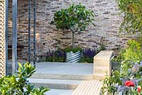 Islamic influence garden - Wooden seating, ladder to roof garden and fig tree in steel pot and Salvia x sylvestris 'Mainacht' - The Lemon Tree Trust Garden - RHS Chelsea Flower Show 2018