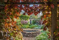 Vitis vinifera 'purpurea' - grape vine - grows over wooden archway, with view to garden beyond. Parham Gardens, Sussex. 