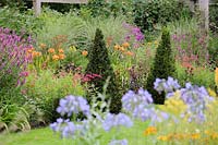 View of double flowering perennial borders with formal clipped Yew pyramids.