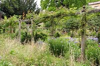 A strip of meadow planting sits between the pergola and a border on the garden's boundary.