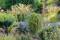 Gravel garden of mixed foliage planting and grasses - Shropshire, UK