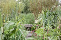 Wooden bench in Bog Garden at Dyffryn Fernant, UK