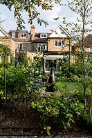 Contemporary London garden, looking towards house with seating area and 
chiminea in background. Tree on right is Betula nigra