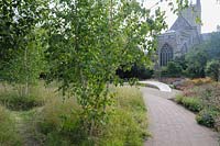 The Garden of Reflection features a grove of 85 silver birch trees, a 40' 
long stone seat inscribed with the words 'Wanderer, there is no path, the 
path is made by walking', and a border of late summer herbaceous perennials 
and grasses 
