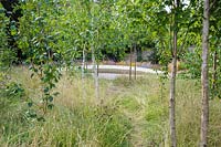 The Garden of Reflection features a grove of 85 silver birch trees, a 40' long 
stone seat inscribed with the words 'Wanderer, there is no path, the path is 
made by walking', and a border of late summer herbaceous perennials and grasses