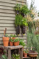 Tiered plastic bottle herb planters of Rosemary, Feverfew, Sage and Marjoram